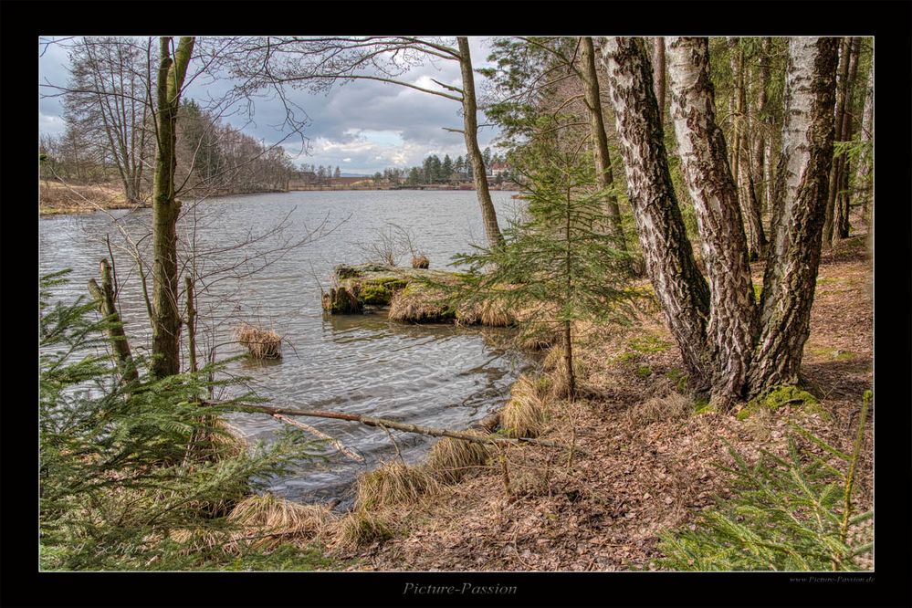 Herbst am See