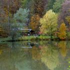 Herbst am See