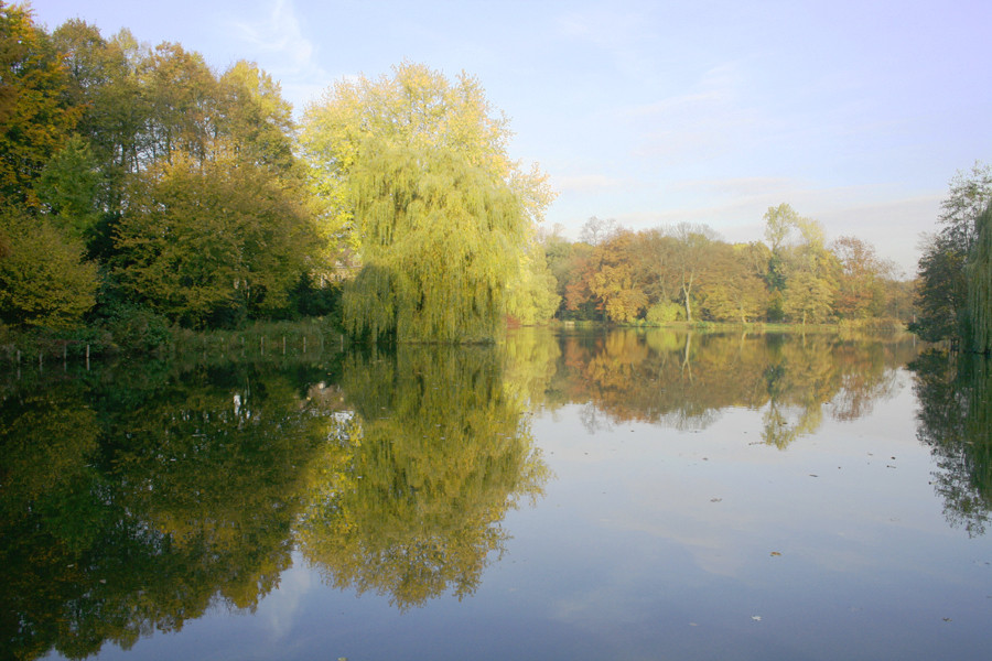 Herbst am See