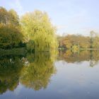 Herbst am See