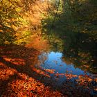 herbst am see