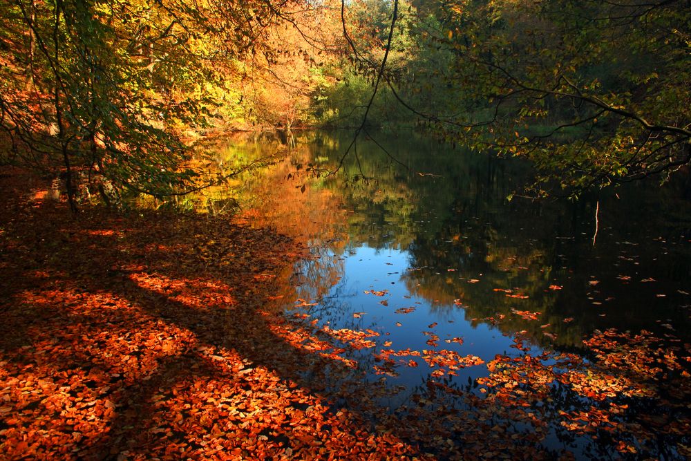 herbst am see Foto & Bild | landschaft, jahreszeiten, herbst Bilder auf