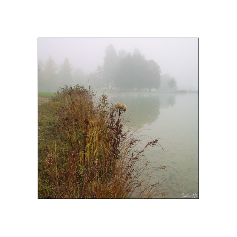 Herbst am See