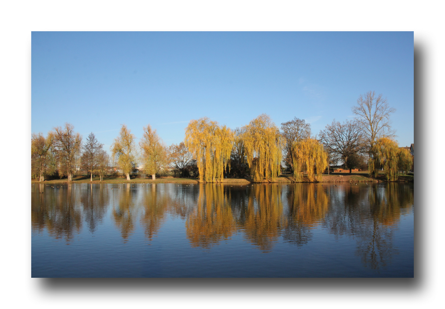 Herbst am See