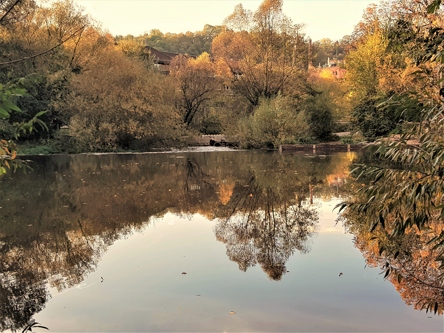 Herbst am See