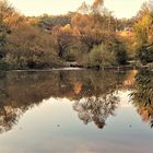 Herbst am See