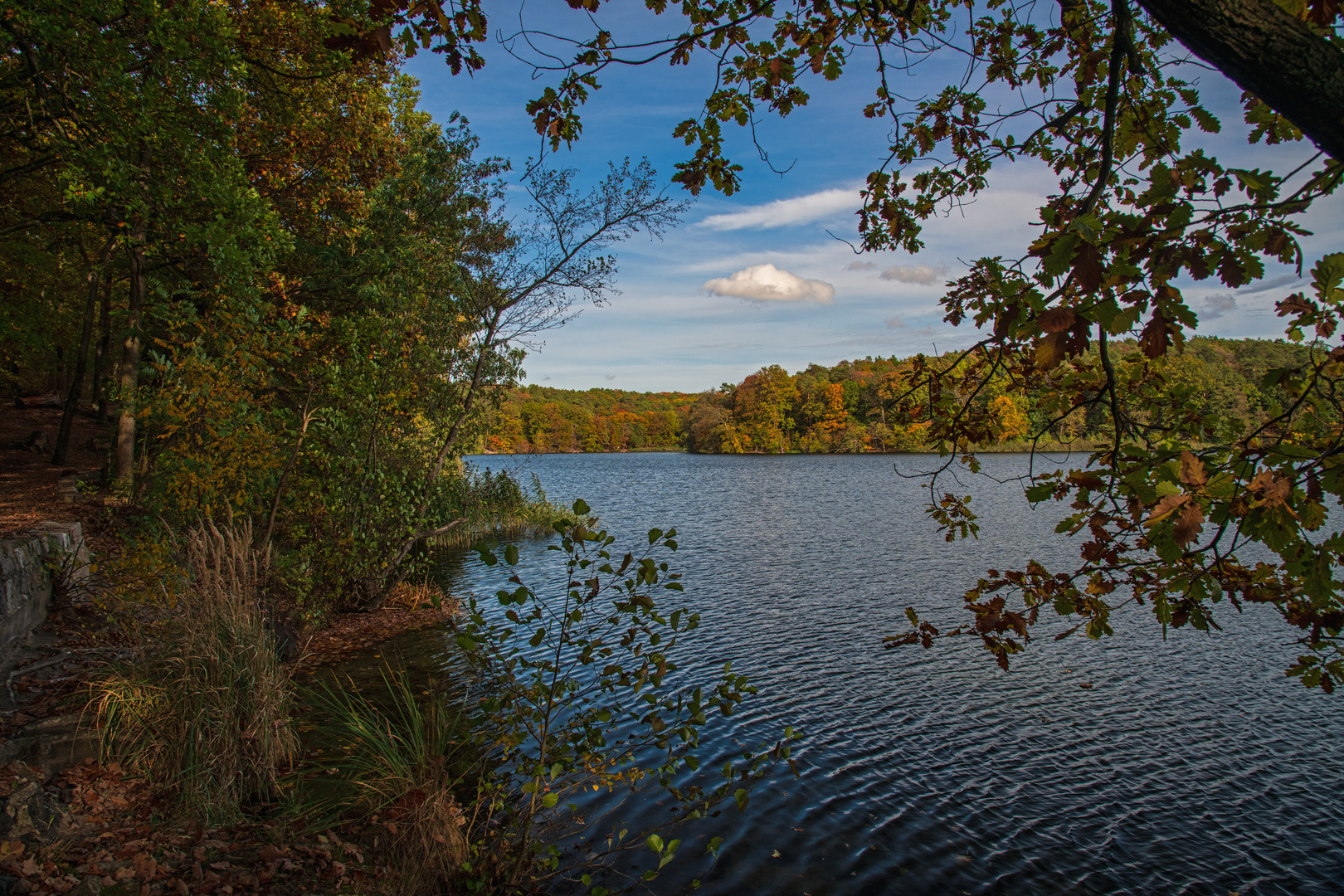 Herbst am See