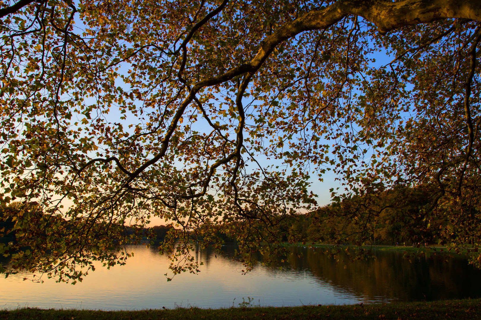 Herbst am See