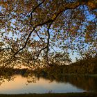 Herbst am See