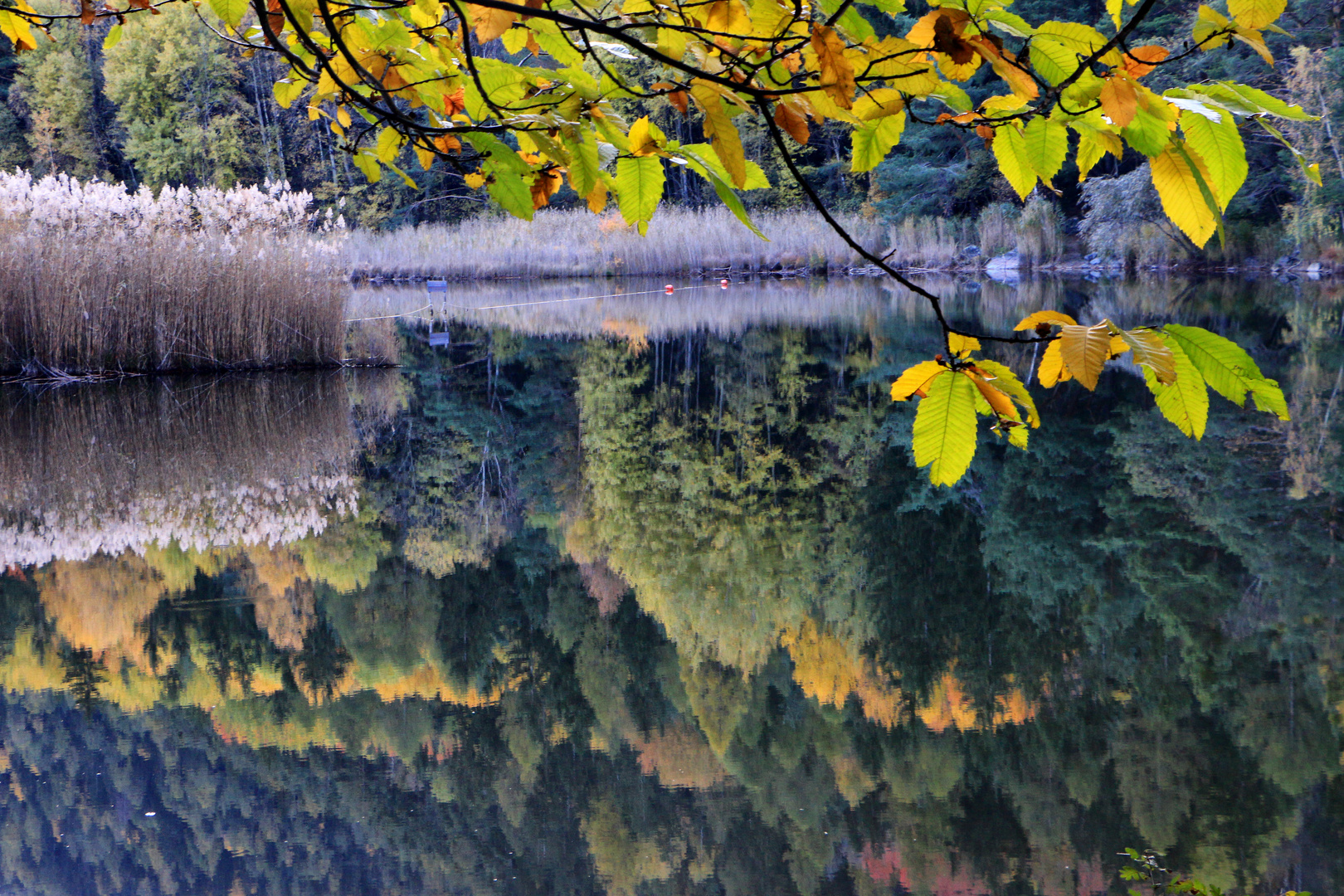 Herbst am See