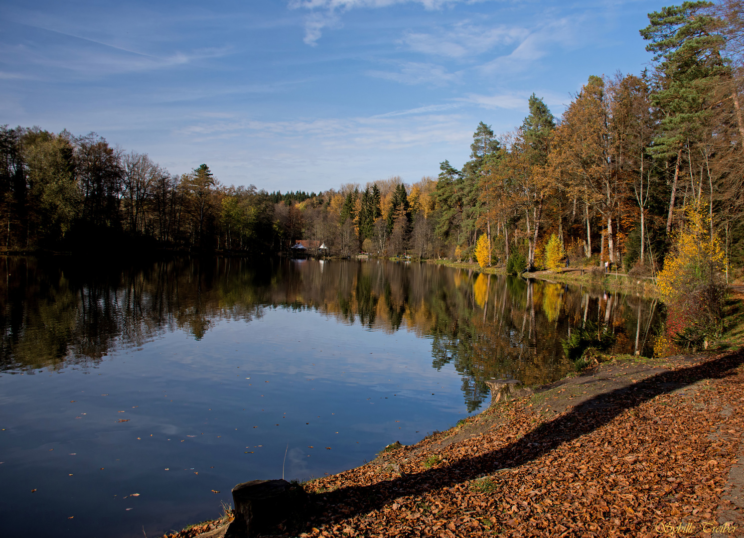 Herbst am See