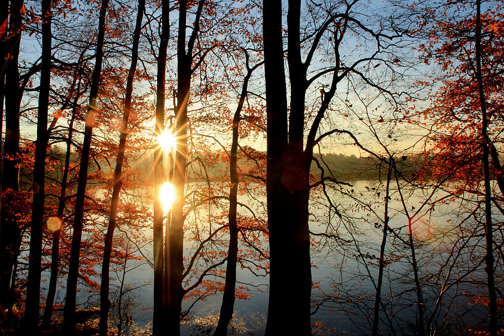 Herbst am See