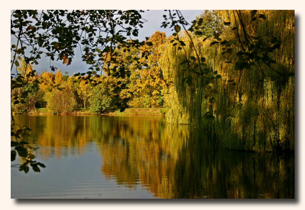 Herbst am See