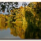 Herbst am See