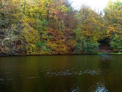 Herbst am See