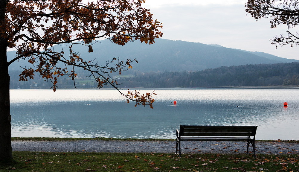 Herbst am See