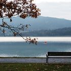 Herbst am See