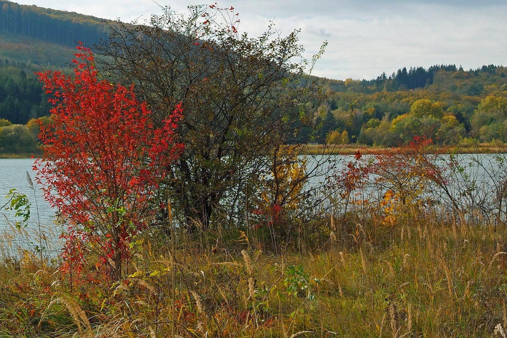 herbst am see