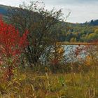 herbst am see