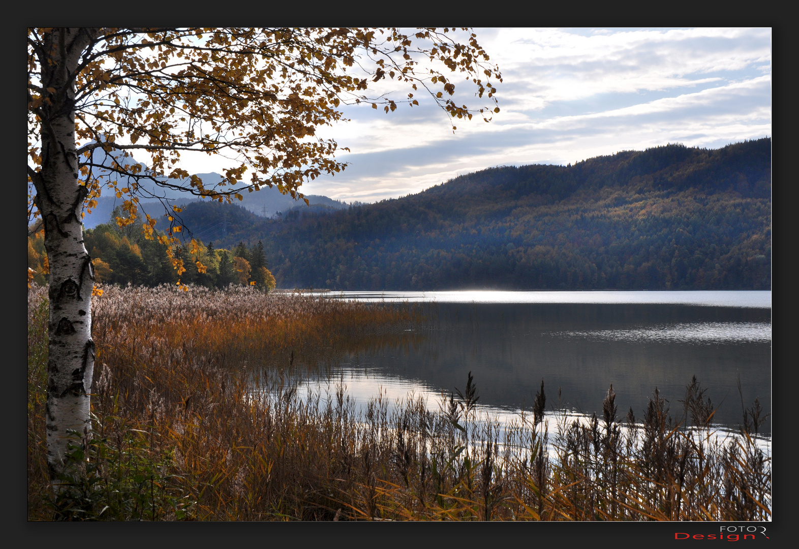 Herbst am See