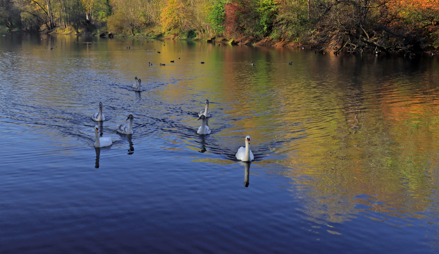 Herbst am See