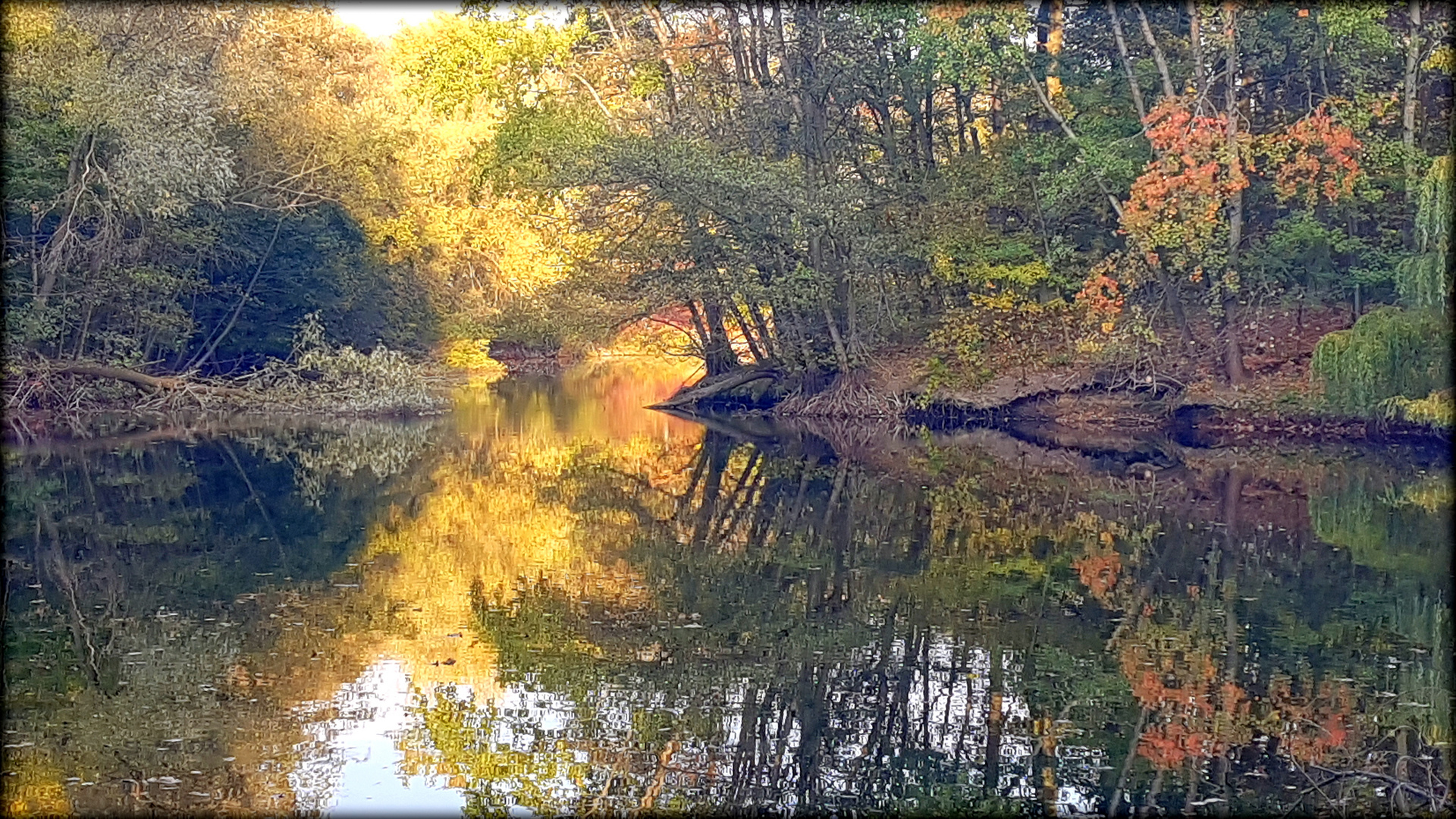 Herbst am see