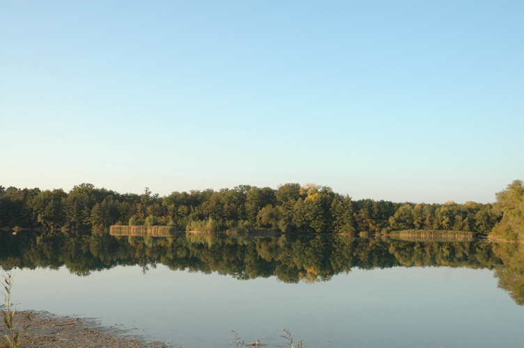 Herbst am See