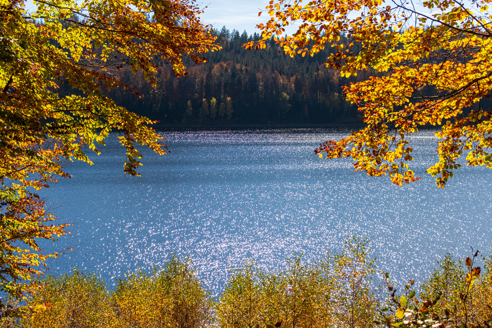 Herbst am See