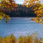 Herbst am See