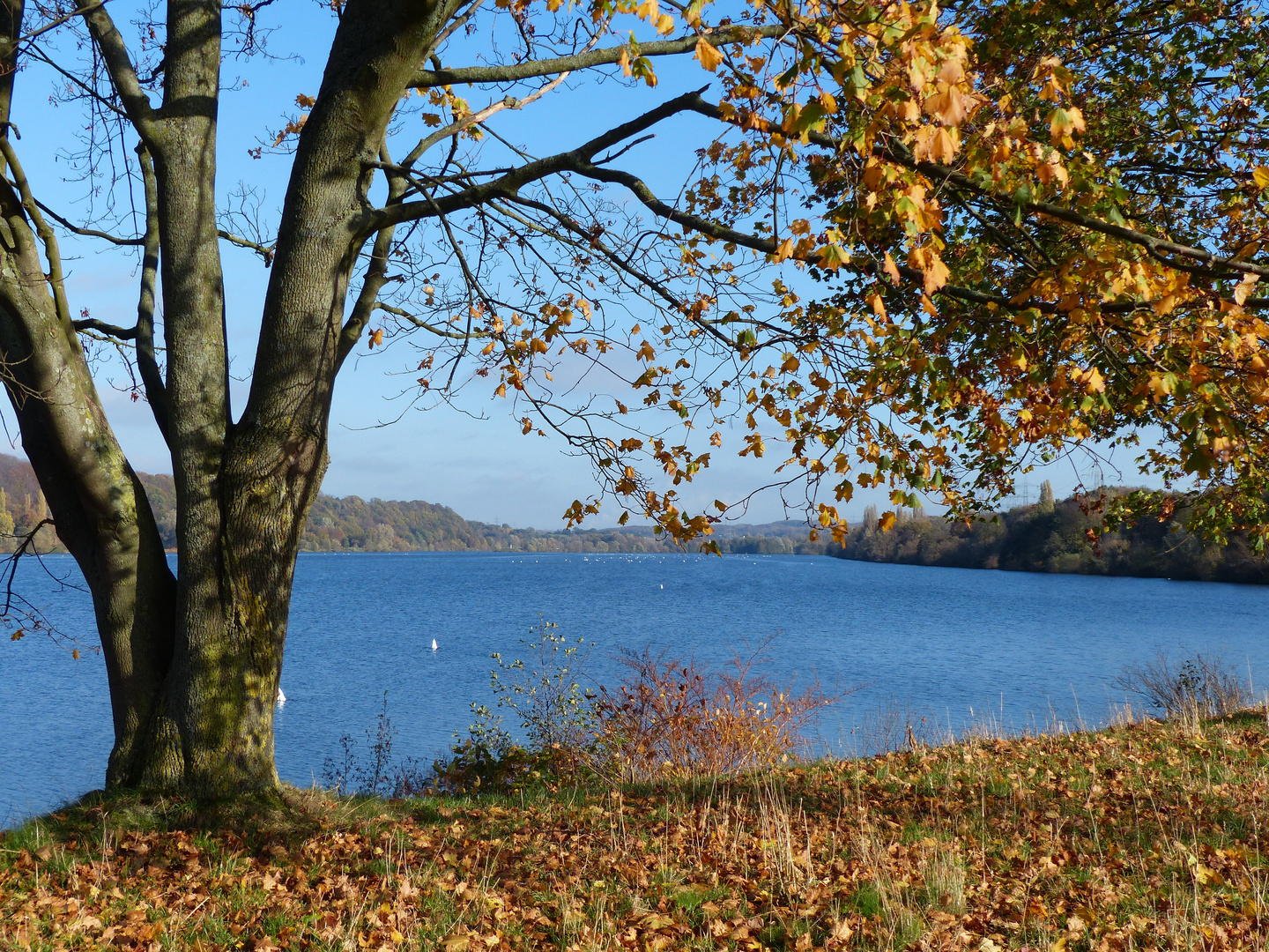 Herbst am See