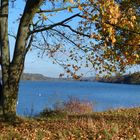 Herbst am See