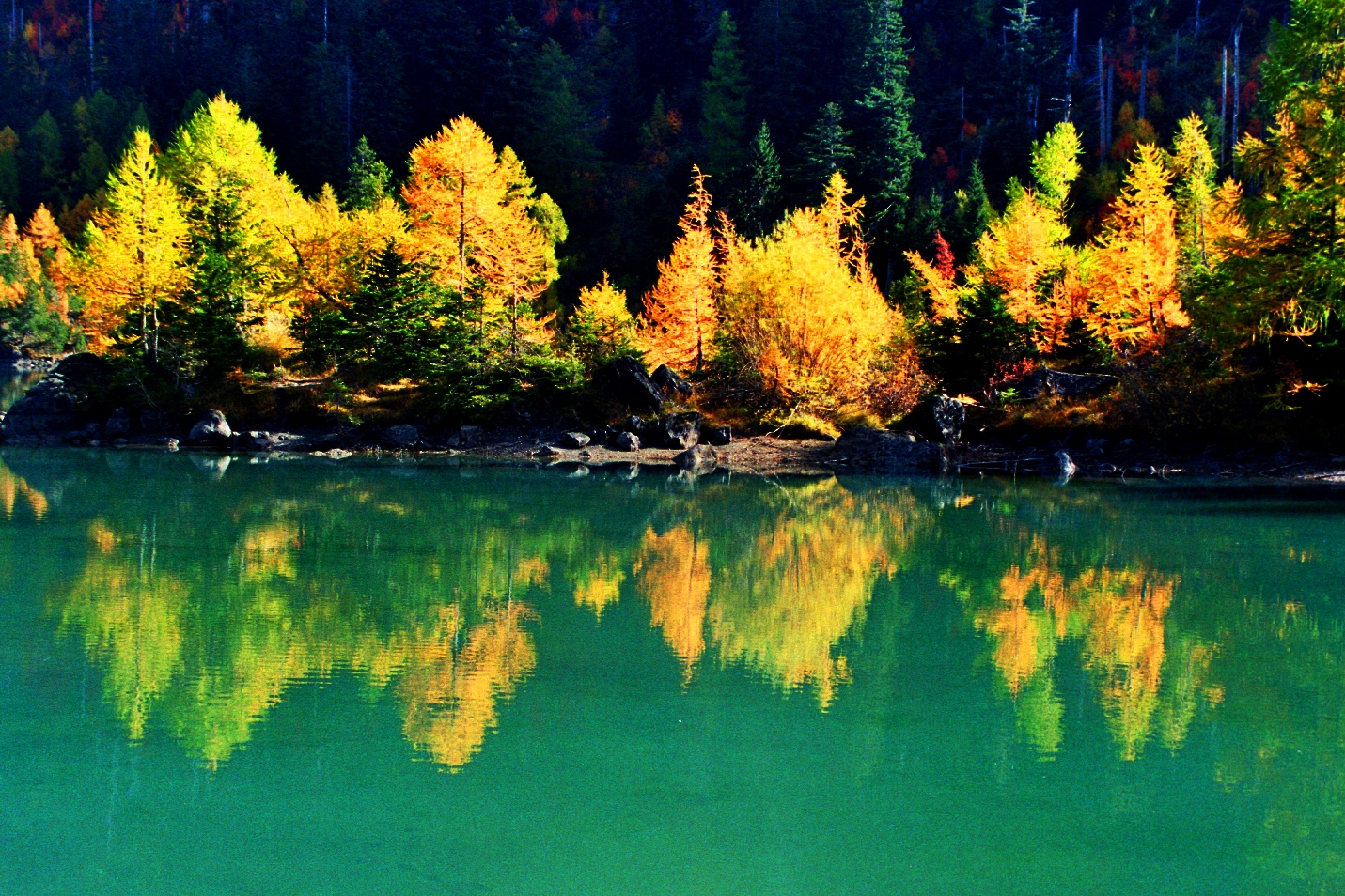 Herbst am See