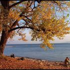 Herbst am See