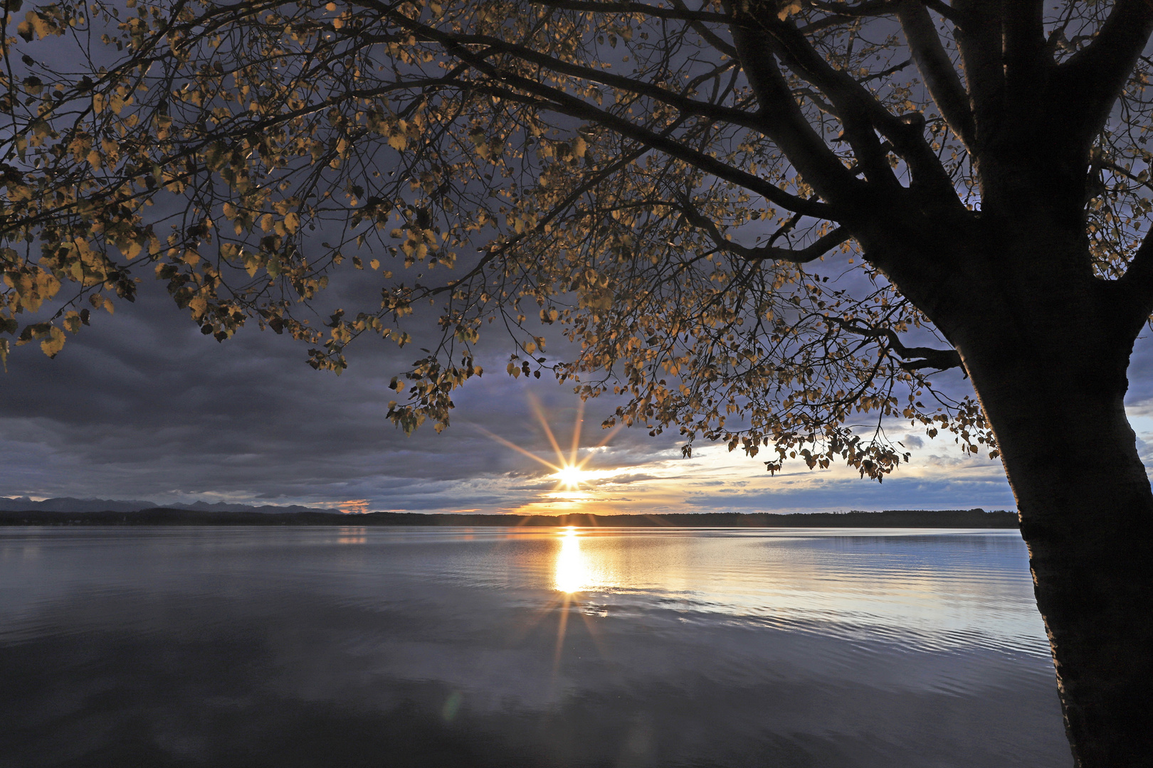 Herbst am See