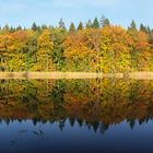 Herbst am See