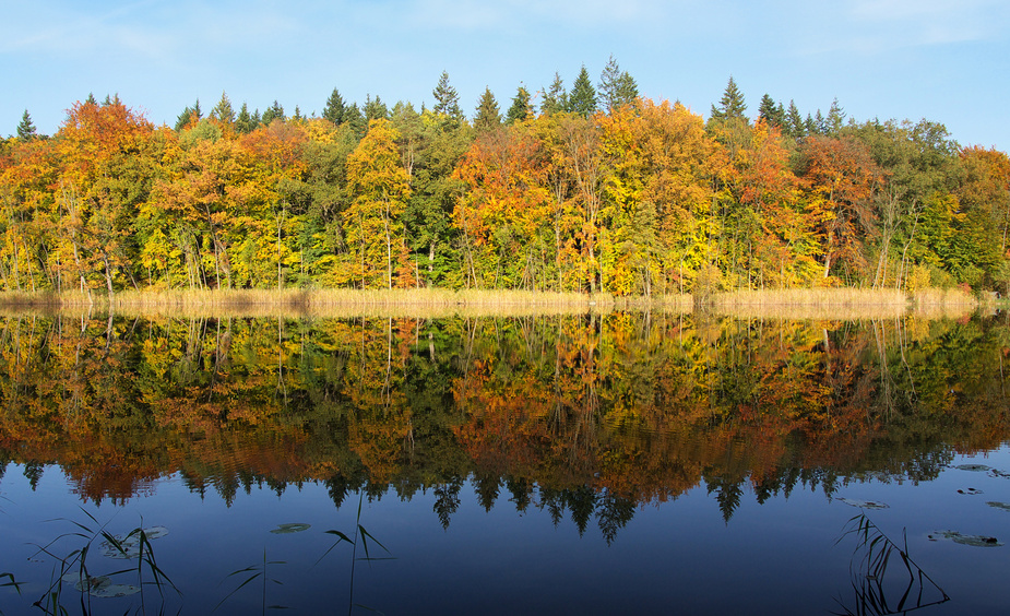 Herbst am See