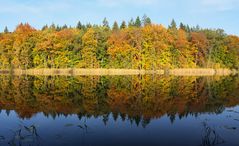 Herbst am See