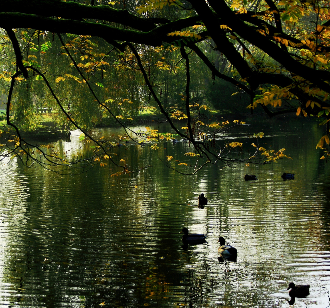 Herbst am See