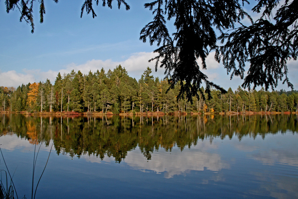 Herbst am See