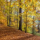 Herbst am See