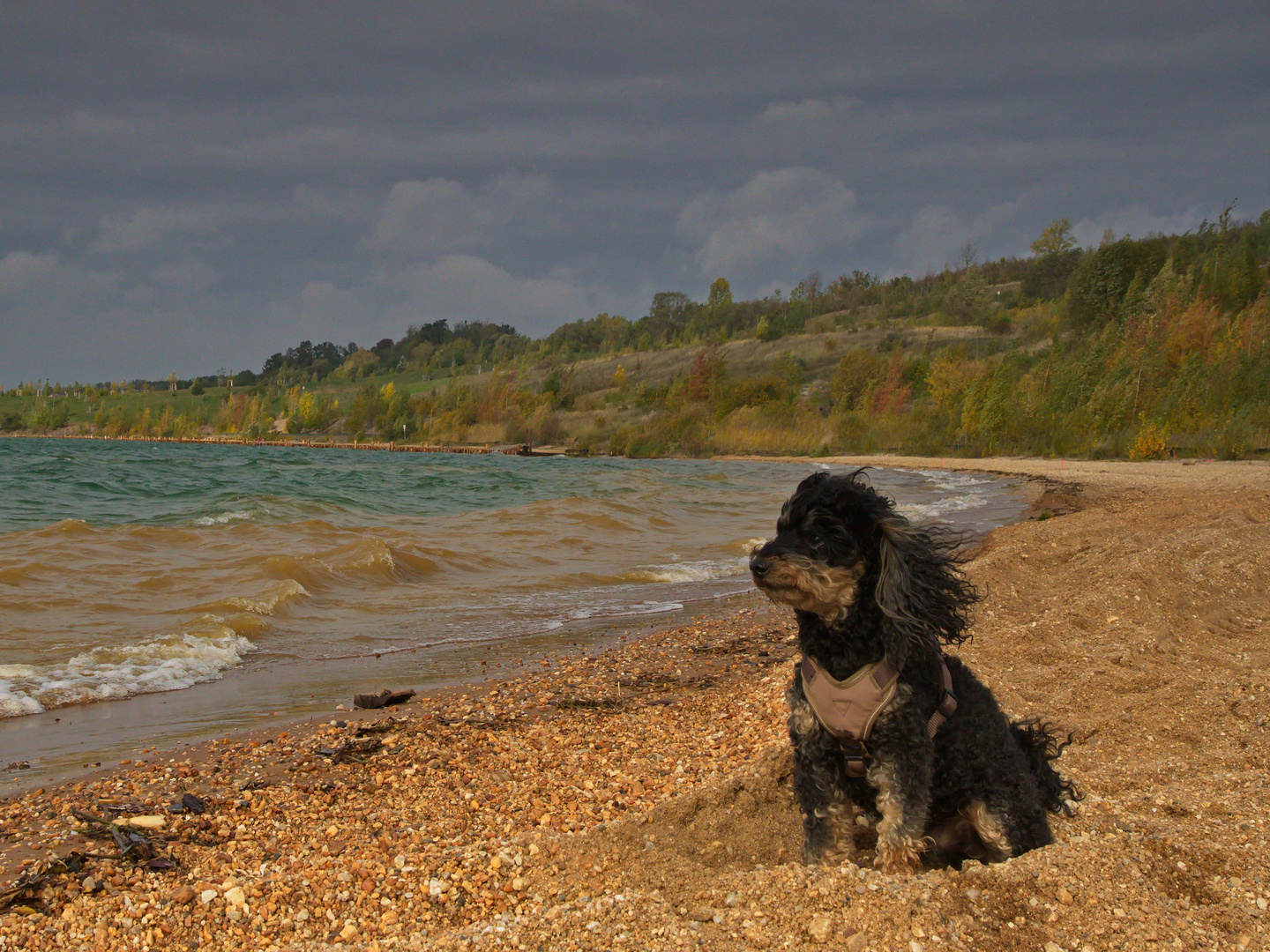 Herbst am See