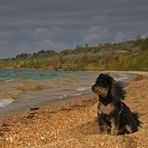 Herbst am See