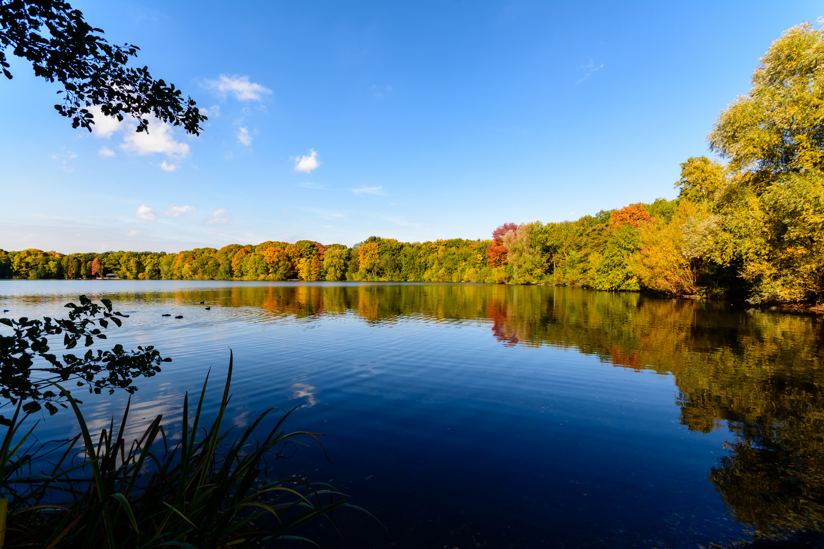 Herbst am See