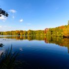 Herbst am See