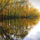 Herbst am See