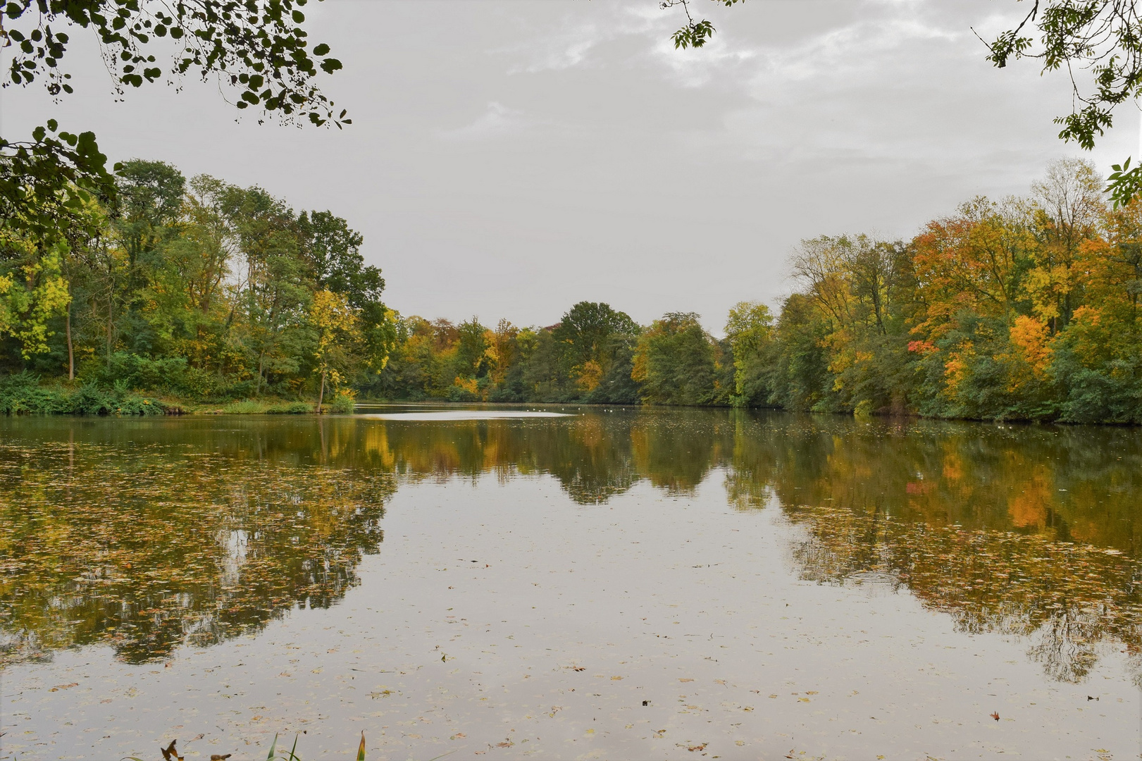 Herbst am See