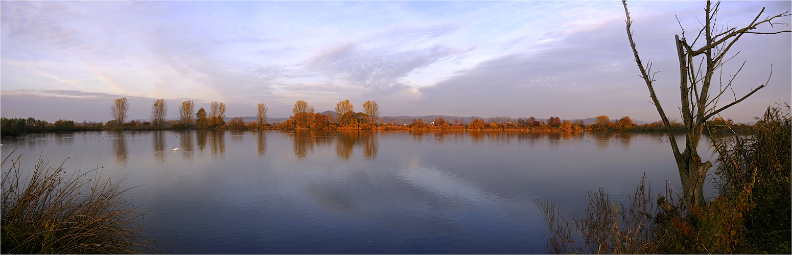 Herbst am See