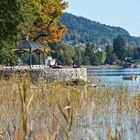 Herbst am See