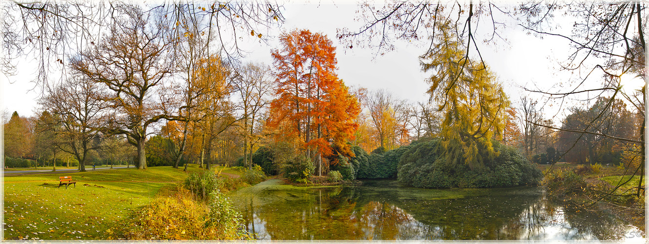 Herbst am See