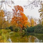 Herbst am See